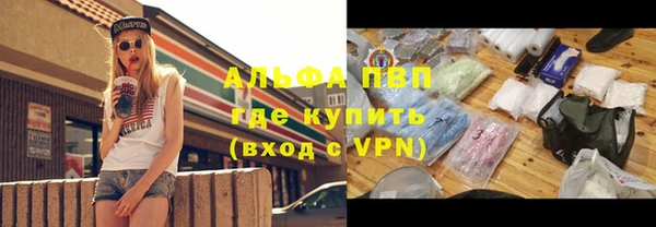стафф Надым