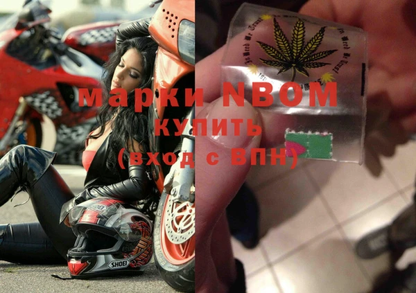 стафф Надым