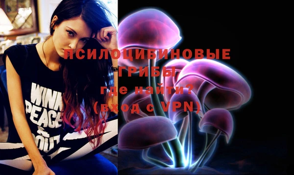 стафф Надым