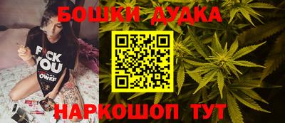 МДПВ Гагарин