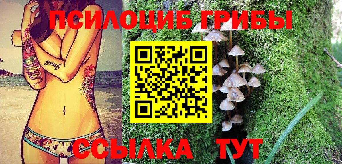 Галлюциногенные грибы мухоморы  Псилоцибиновые грибы Cubensis  где продают наркотики  Вход с VPN  Отрадное 
