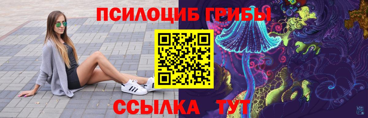 Галлюциногенные грибы Psilocybe Отрадное